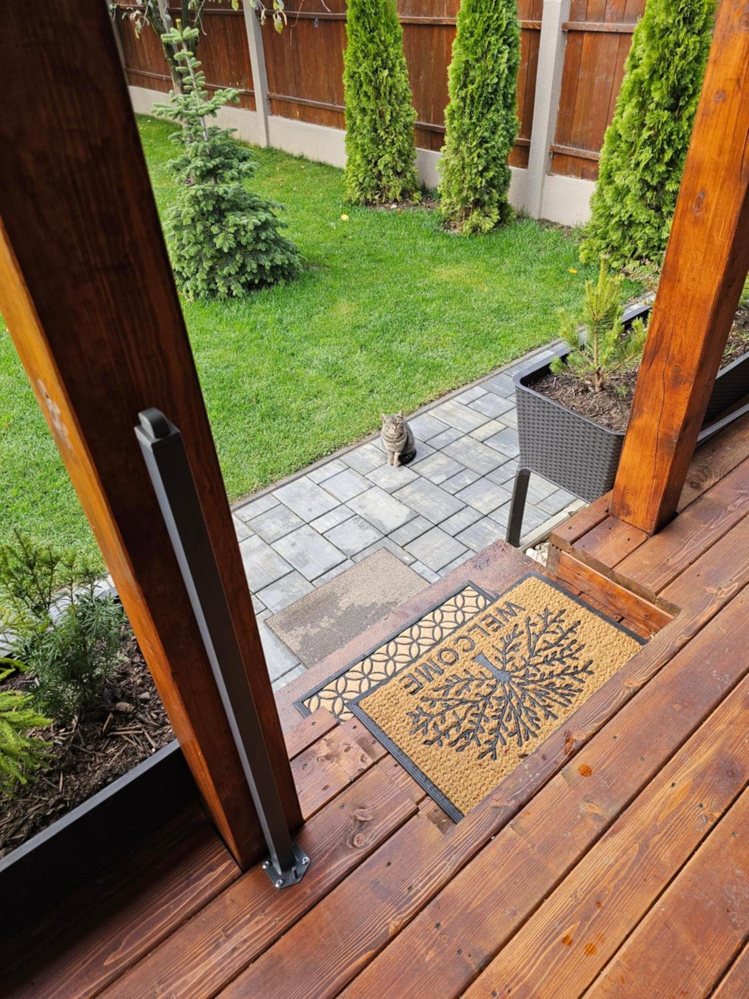 Arbor Inn Braşov Exteriör bild